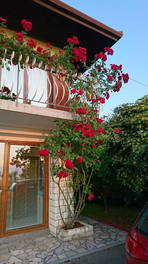 Apartma Niko Piran Extérieur photo